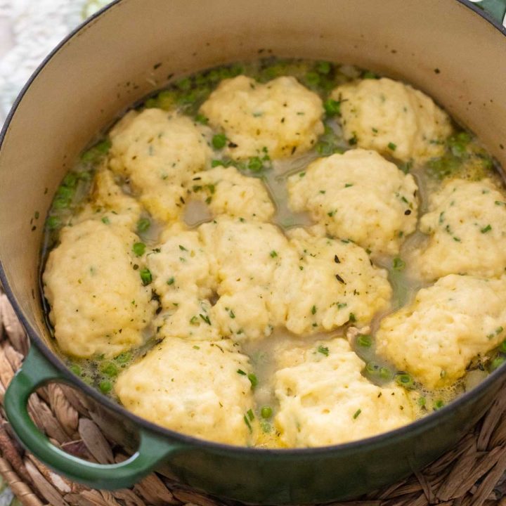 A Dutch oven is filled with chicken and dumplings with fresh chives sprinkled over the top.
