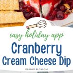 The photo collage shows the cranberry dip with crackers next to a photo of the ingredients used to make it.