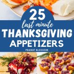 The photo collage shows pictures of 5 different easy appetizers for Thanksgiving.