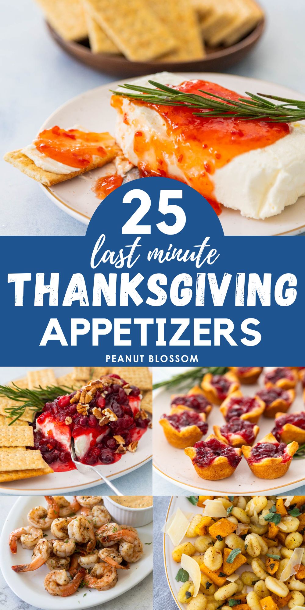 The photo collage shows pictures of 5 different easy appetizers for Thanksgiving.