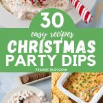 The photo collage shows 5 sweet and savory party dips to serve at a Christmas party.