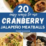 The photo collage shows a bowl of cranberry jalapeño meatballs next to 4 photos of recipes that use them.