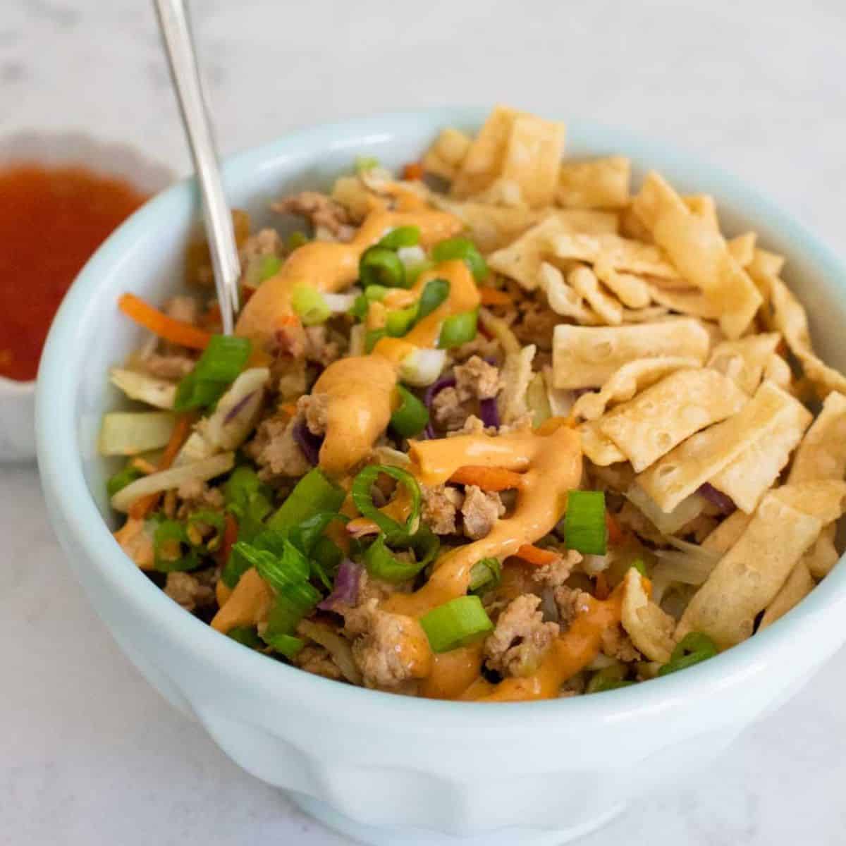 A bowl filled with ground pork and cabbage mixture drizzled with spicy mayo and crispy wonton strips.