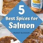 The photo collage shows the salmon being cooked in 4 different ways.