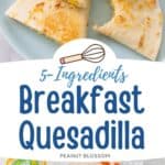 An egg and cheese breakfast quesadilla on a plate with a cup of salsa.