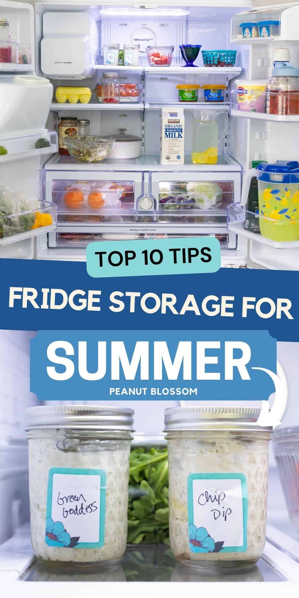 The inside of a regular family fridge.