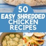 The photo collage shows a bag of cooked chicken next to 4 recipes it could be used to make.