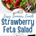 A plate filled with salad greens, fresh strawberries, and pickled red onions.