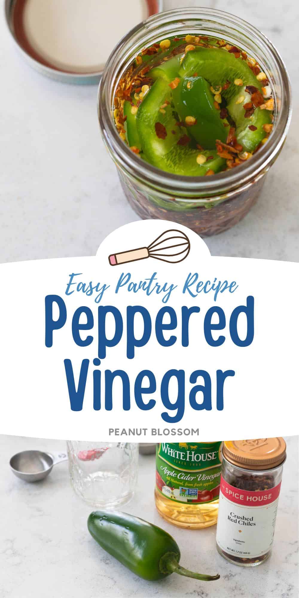 The finished jar of peppered vinegar is ready for the fridge.