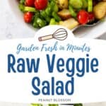 A bowl of raw vegetables with croutons.
