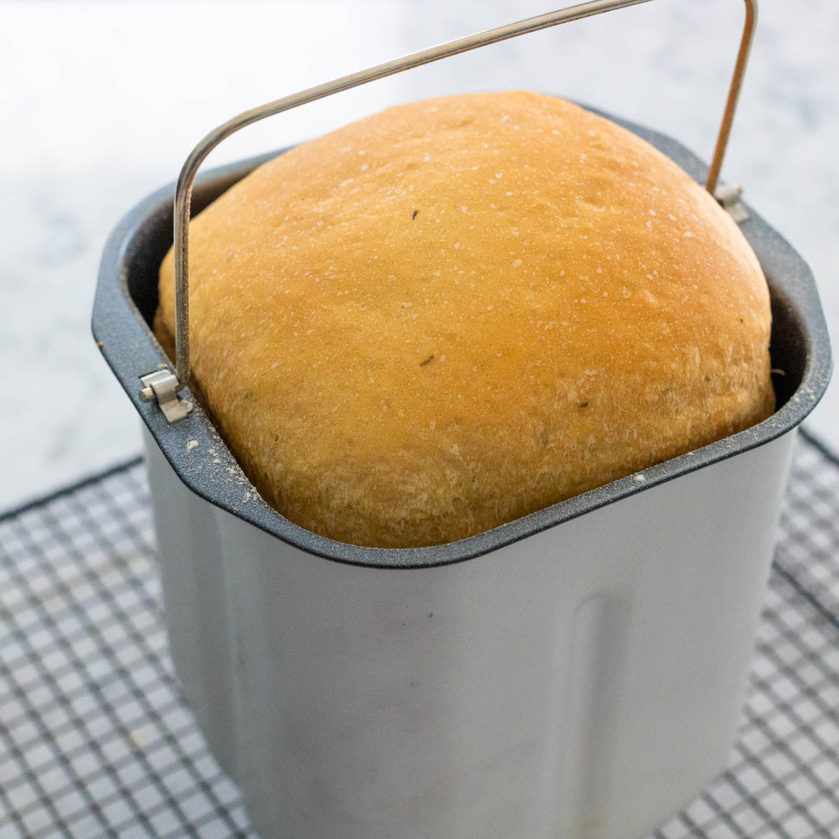 The baked bread is still in the bread pan.
