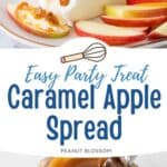 The cream cheese covered in caramel sauce is surrounded by fresh apple slices.