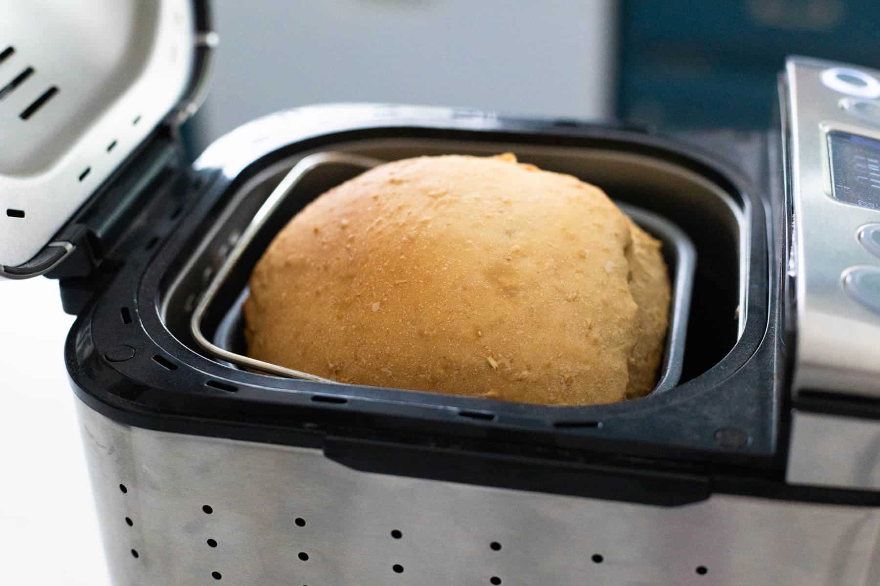 The baked loaf of bread is ready to be removed from the bread machine and has a gorgeous domed top.