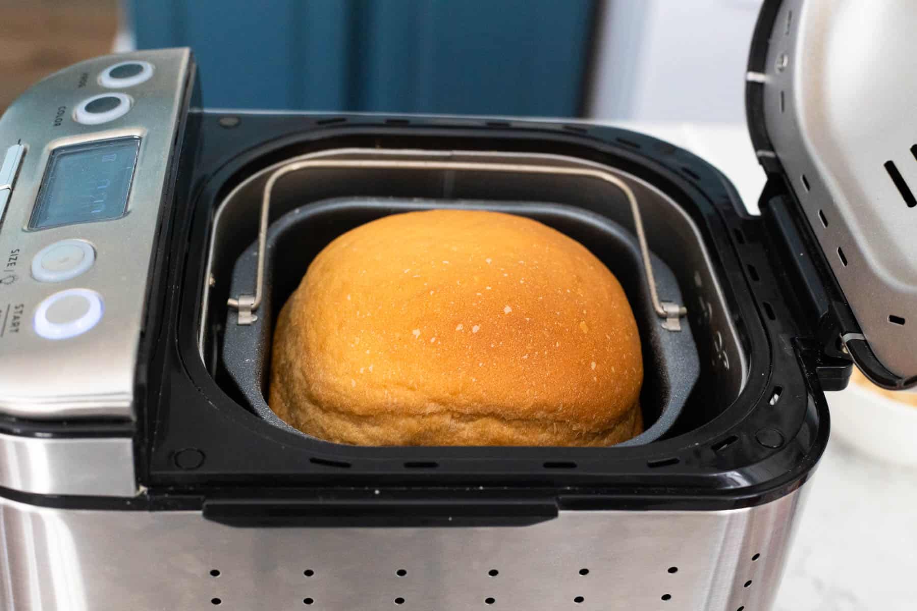 The potato bread has baked in the bread machine and has a golden brown dome.