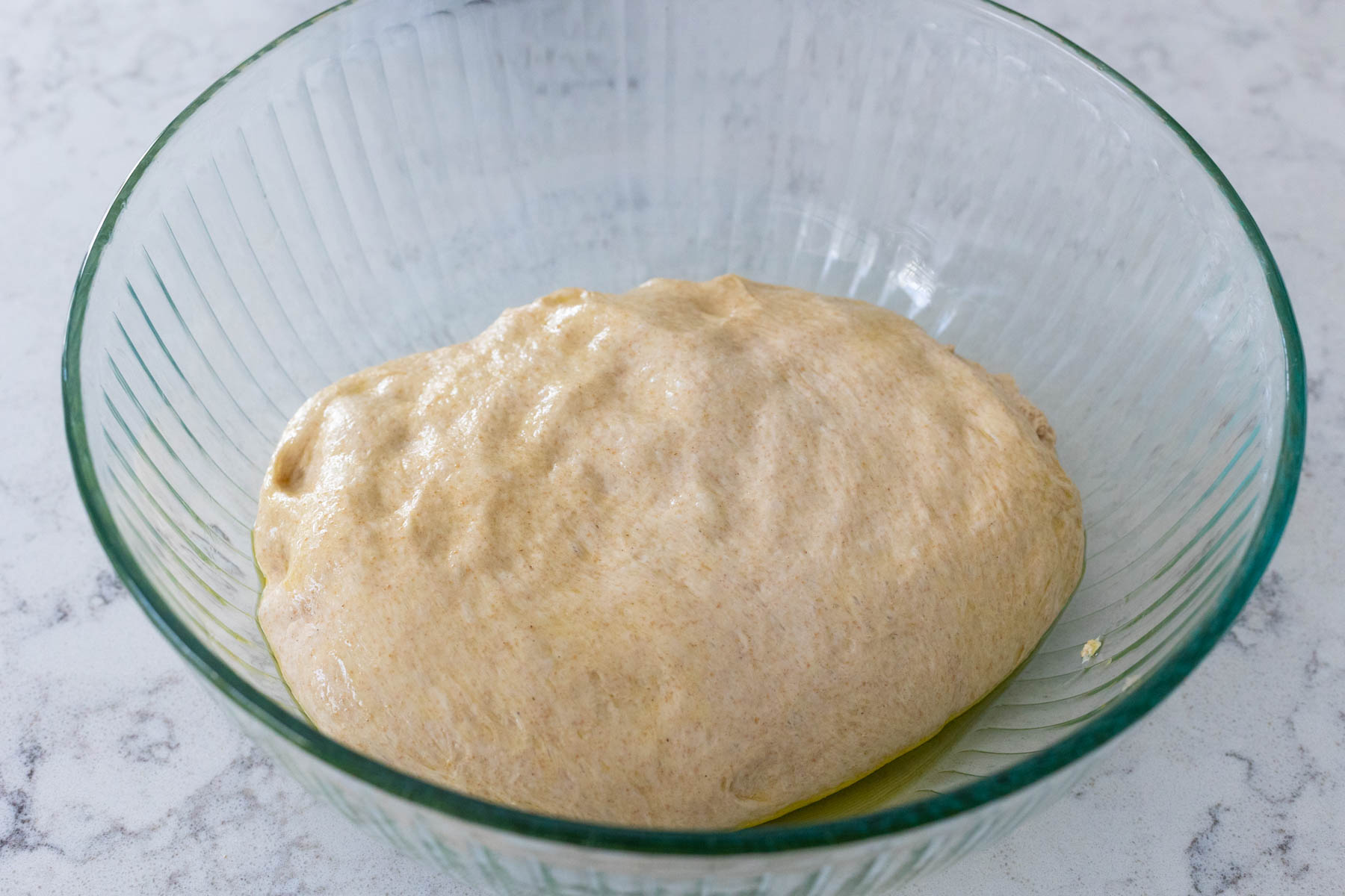 The whole wheat dough is in a large mixing bowl coated with oil.