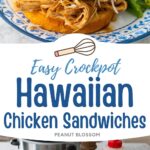 The shredded chicken sandwich has slaw and green onions on top, a serving of green beans on the side.