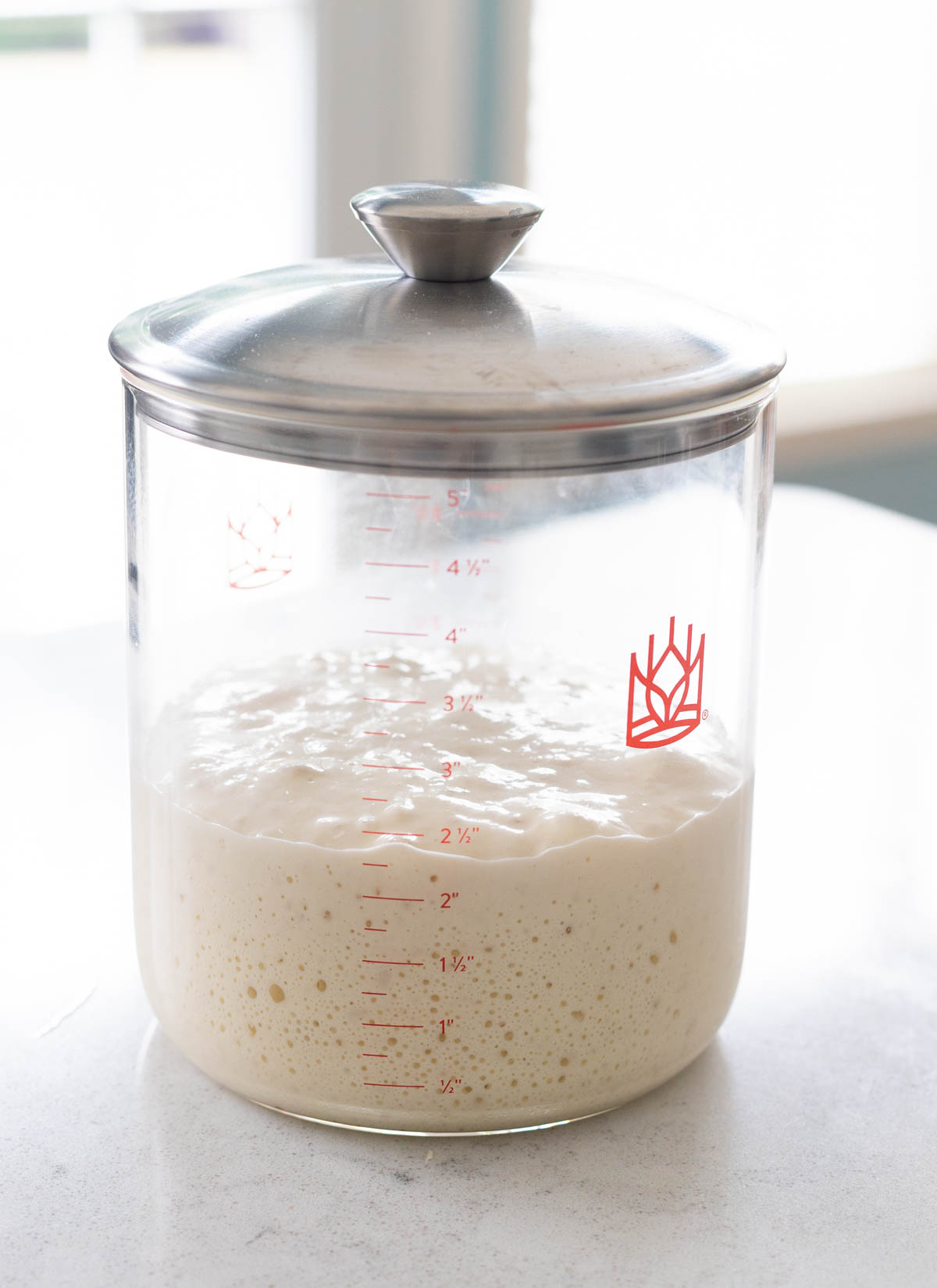 The jar of starter has doubled in ratio inside its storage jar.