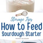 The photo collage shows the starter in a jar next to the starter being weighed on a food scale.