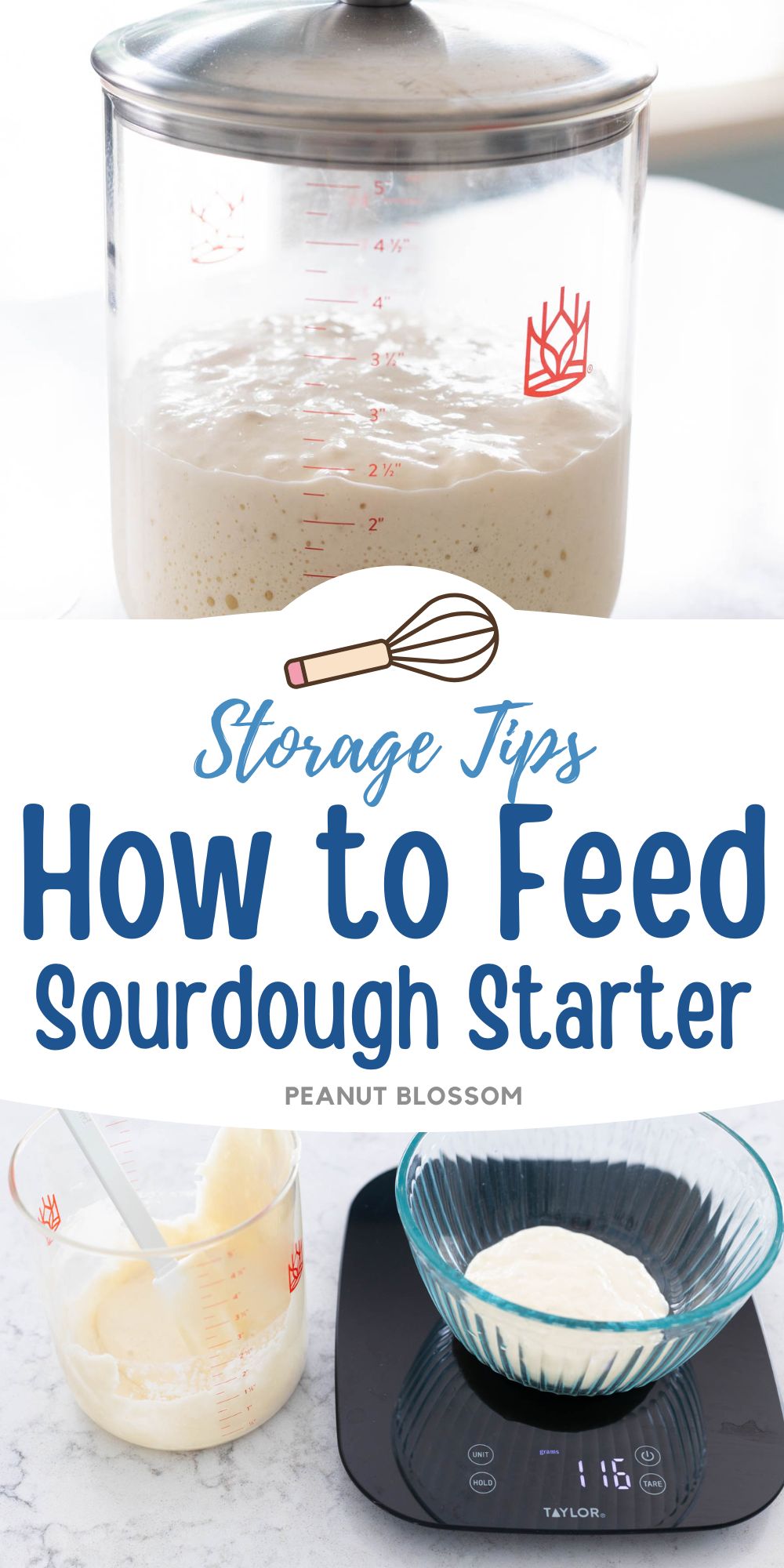 The photo collage shows the starter in a jar next to the starter being weighed on a food scale.