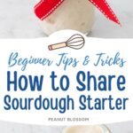 A mason jar filled with sourdough starter has been wrapped with a red bow.