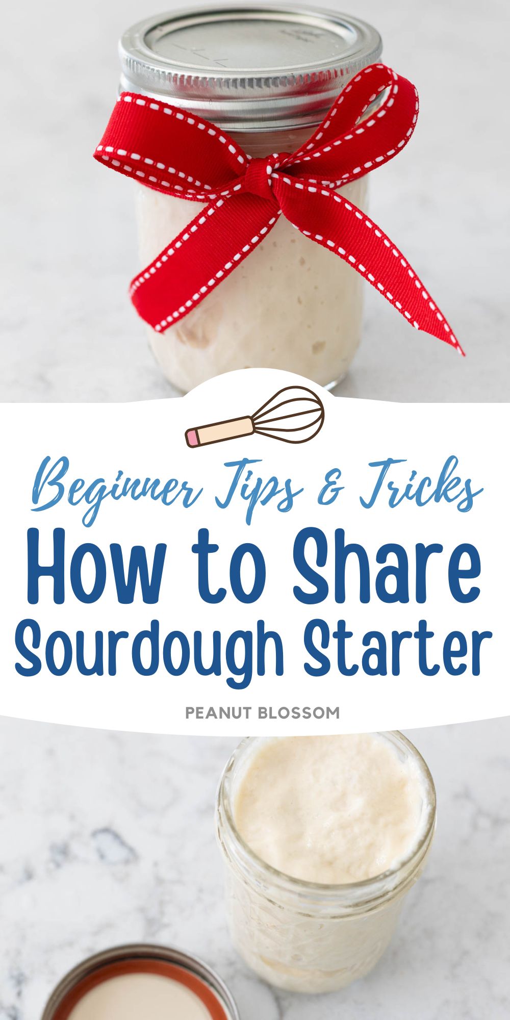A mason jar filled with sourdough starter has been wrapped with a red bow.