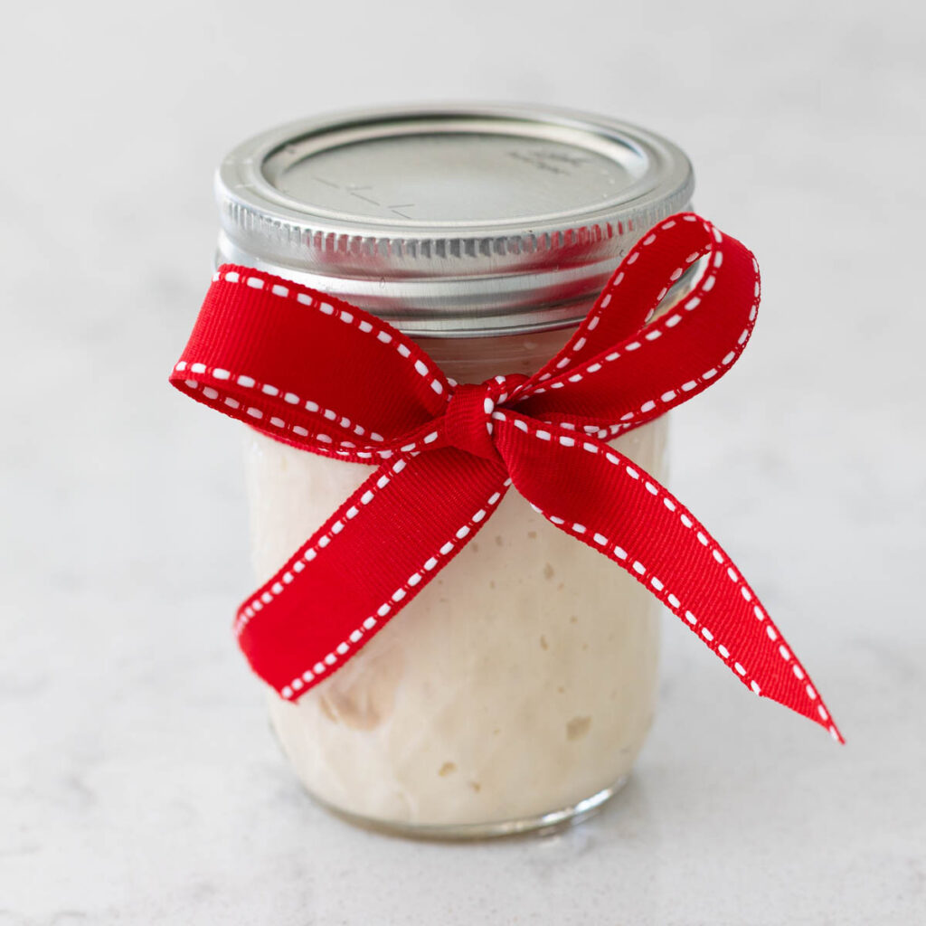 A mason jar filled with sourdough starter has been wrapped with a red bow.