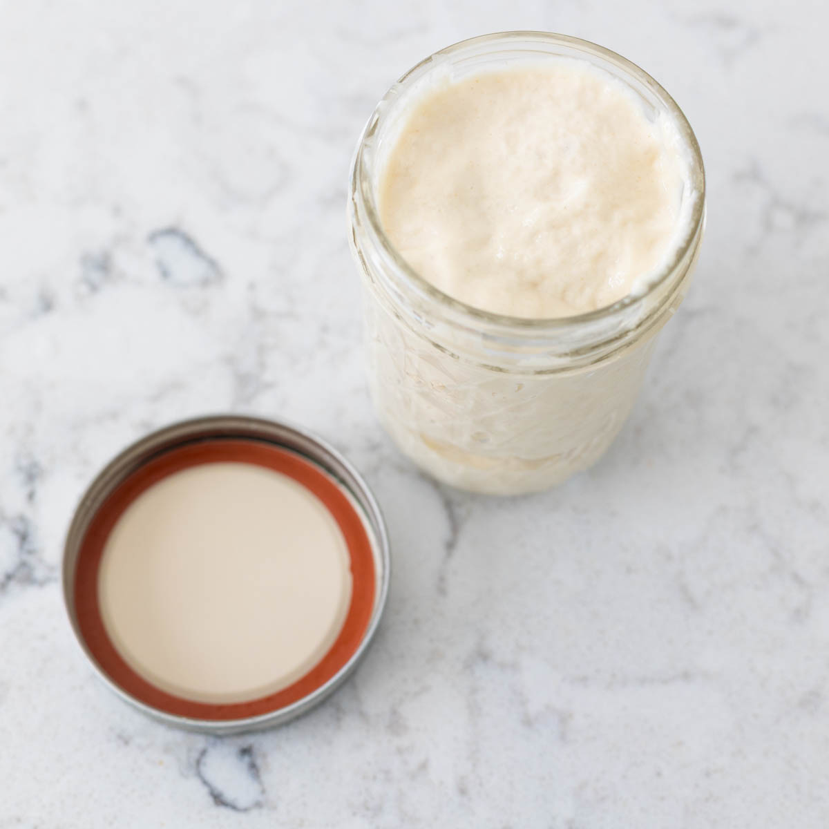 The mason jar is open, the lid is on the side. The starter has been filled to the top of the jar.