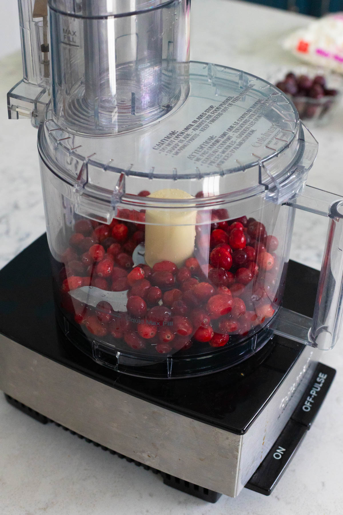 The fresh cranberries are in a food processor.