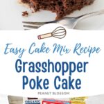 A chocolate cake with green mint frosting and chopped Andes candies on top.