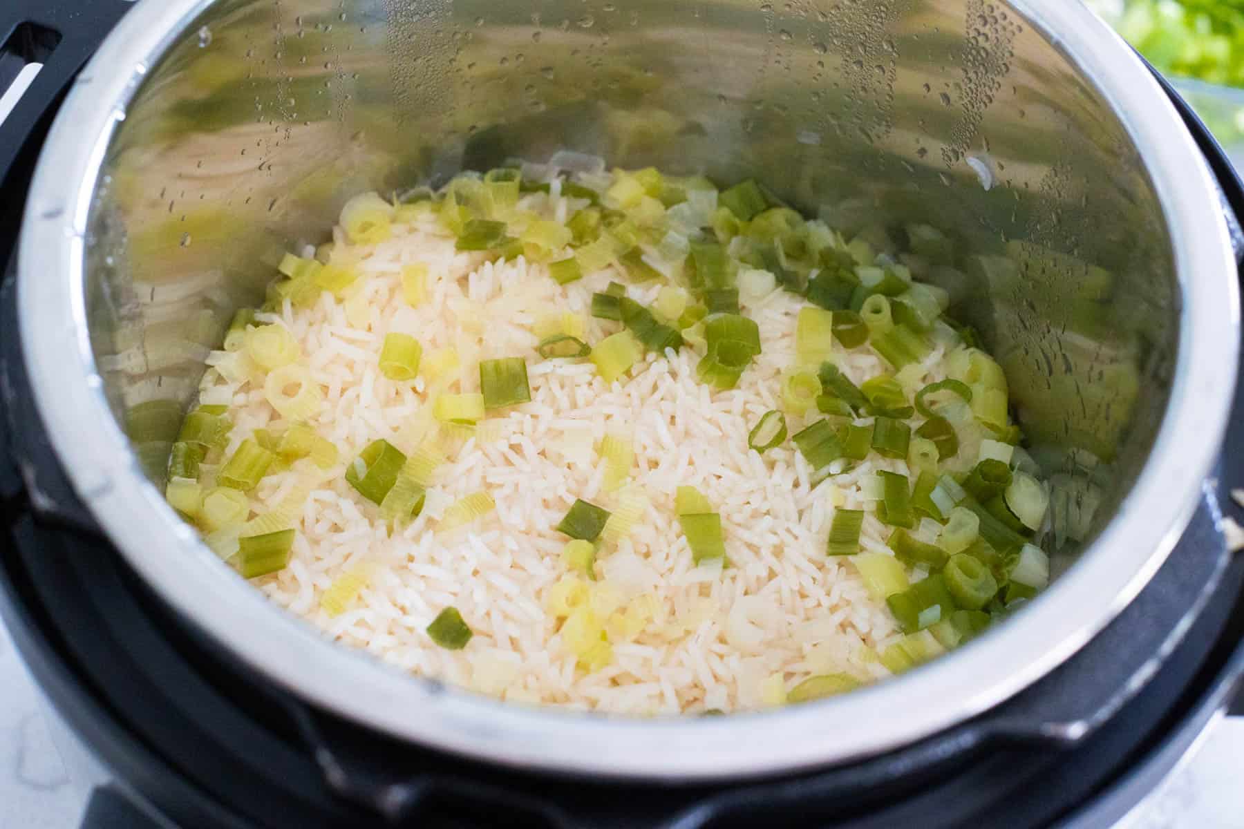 Rice and Scallions in the Bowl