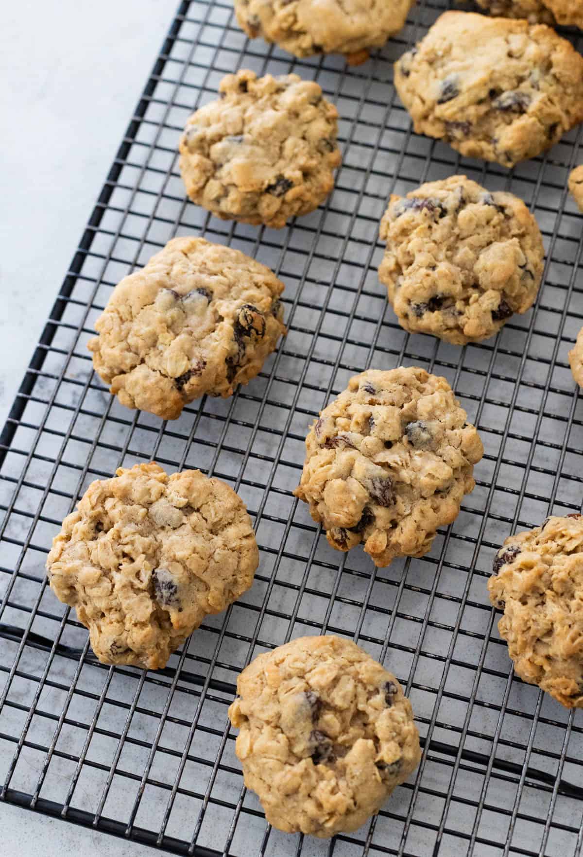 Des biscuits moelleux à l'avoine et aux raisins cuits refroidissent sur une grille.