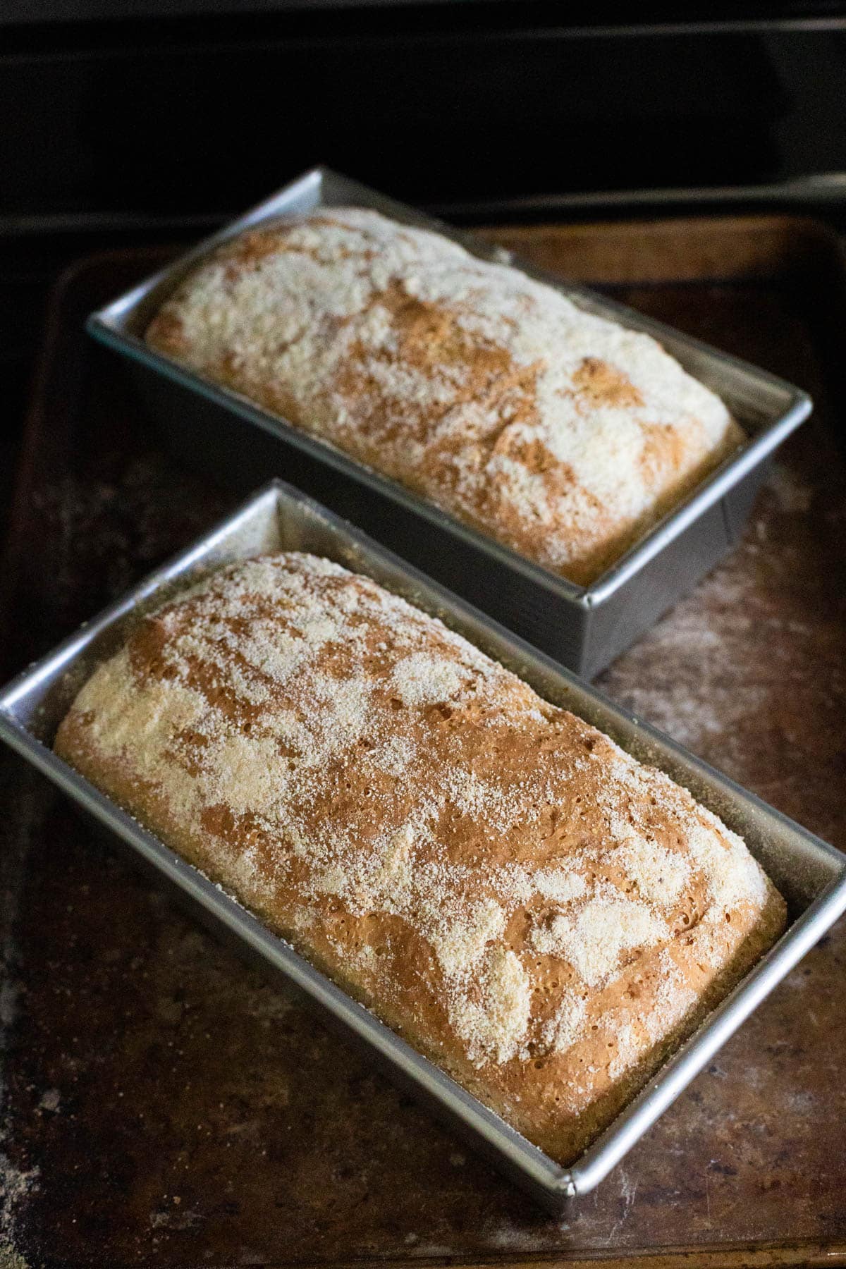 Two freshly baked English muffin bread loaves in metal pans, with golden crusts and a dusting of cornmeal on top.
