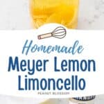 The photo collage shows the Meyer Lemon Limoncello next to a photo of the ingredients needed to make it.