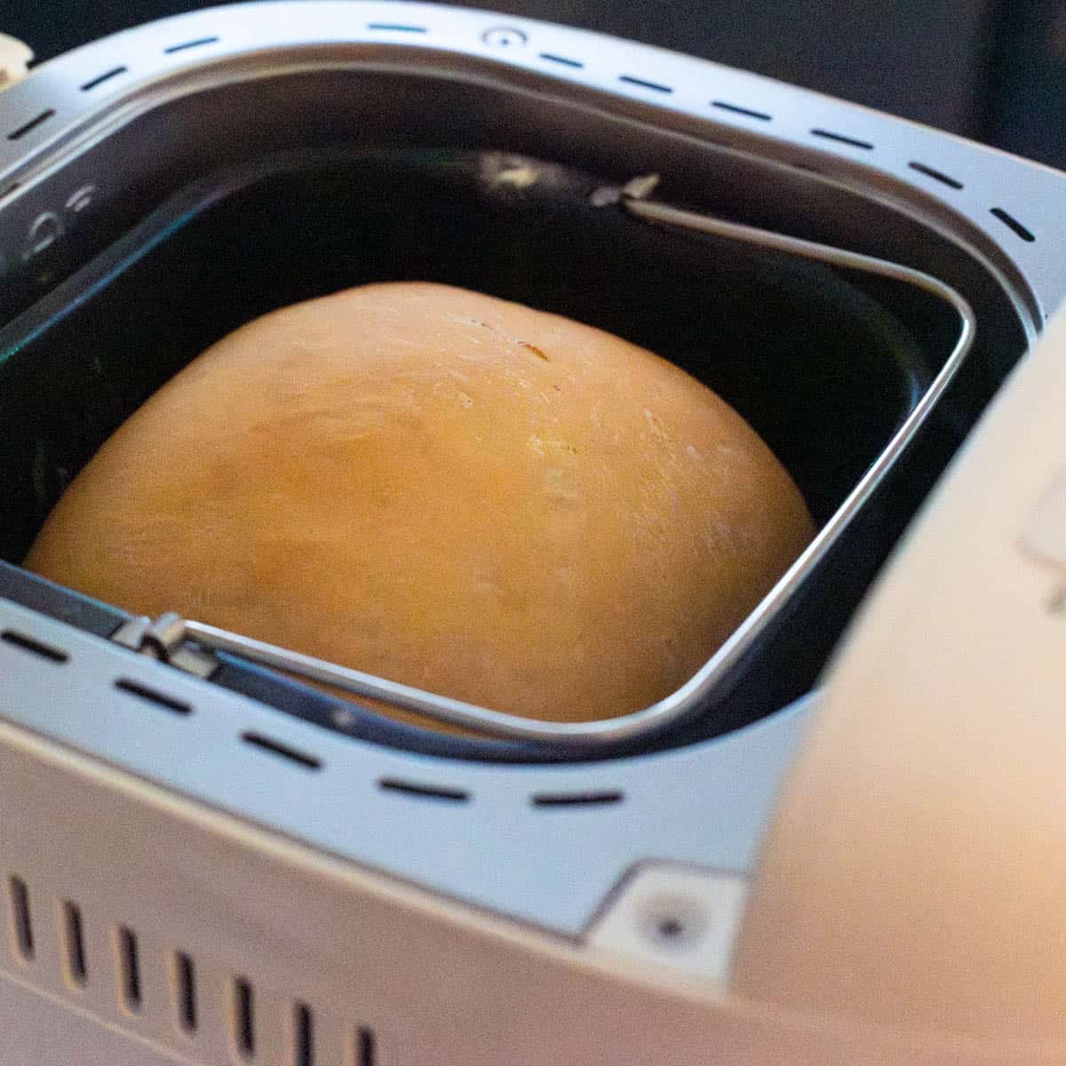 The baked loaf of sourdough bread is just finished baking in the bread machine.