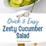 The photo collage shows the Zesty Cucumber Salad next to a photo of the ingredients needed to make it.