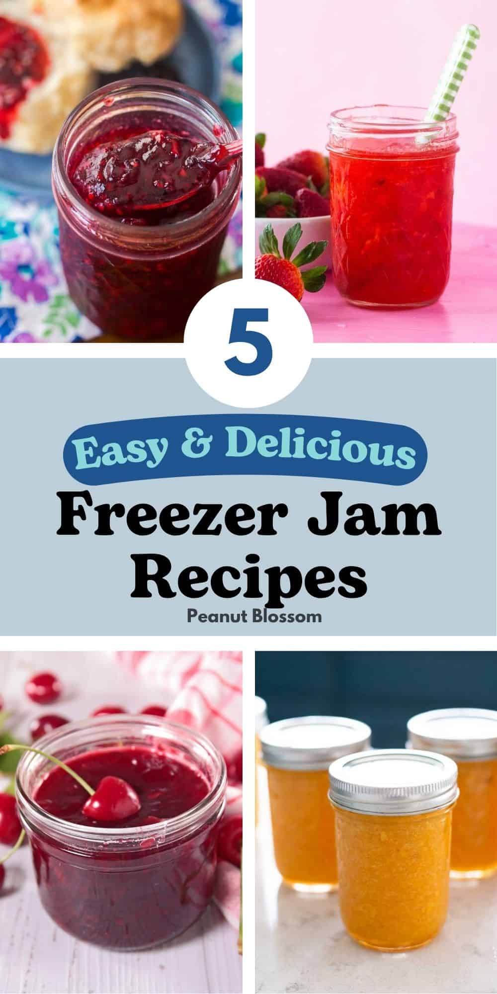 The photo collage shows 4 easy freezer jam recipes to make in summer.